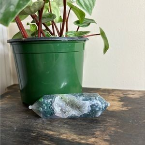 DT moss agate with druzy